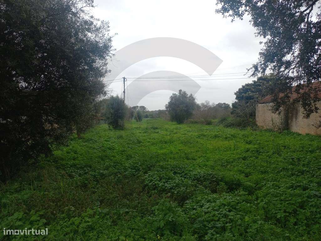 Terreno - Grande imagem: 5/8