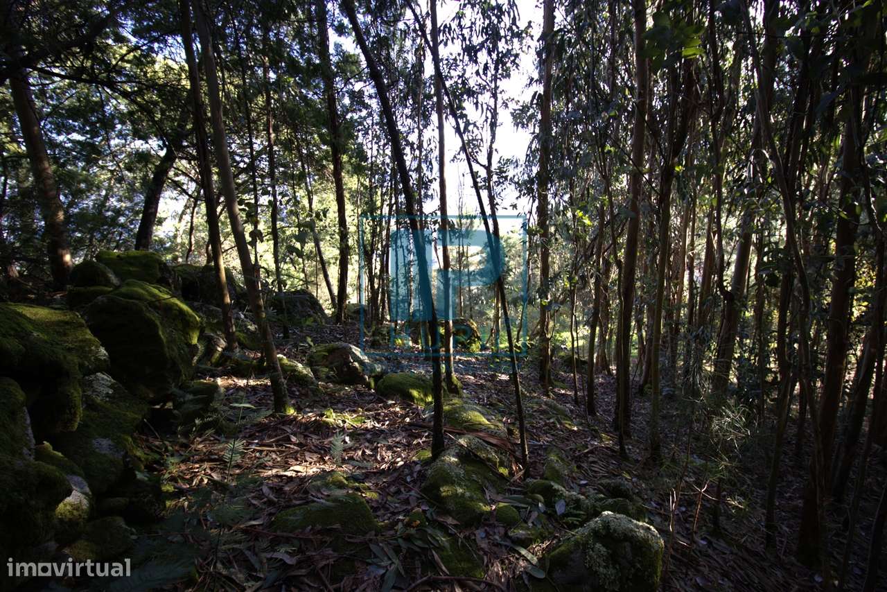 Moradia T3+1 Venda em Penhalonga e Paços de Gaiolo,Marco de Canaveses-40