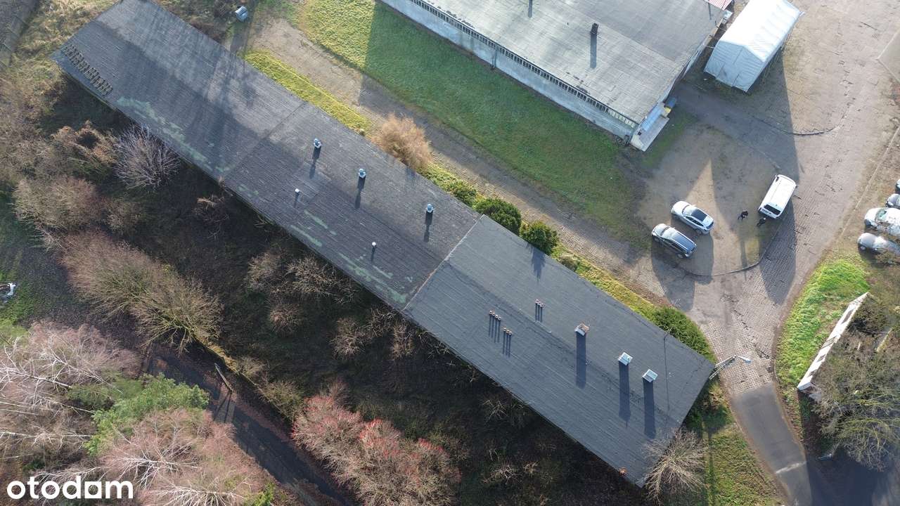 Obiekt magazynowo produkcyjny - Pełny obrazek: 3/10