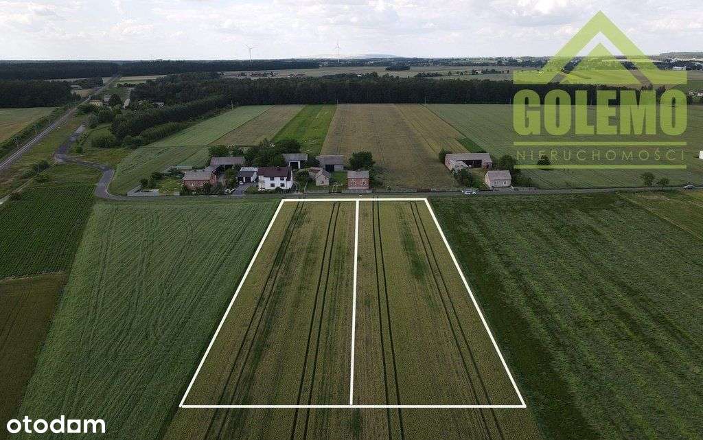 Działki budowlane o pow. 2550m2 / Dubidze-Kolonia - Pełny obrazek: 4/4