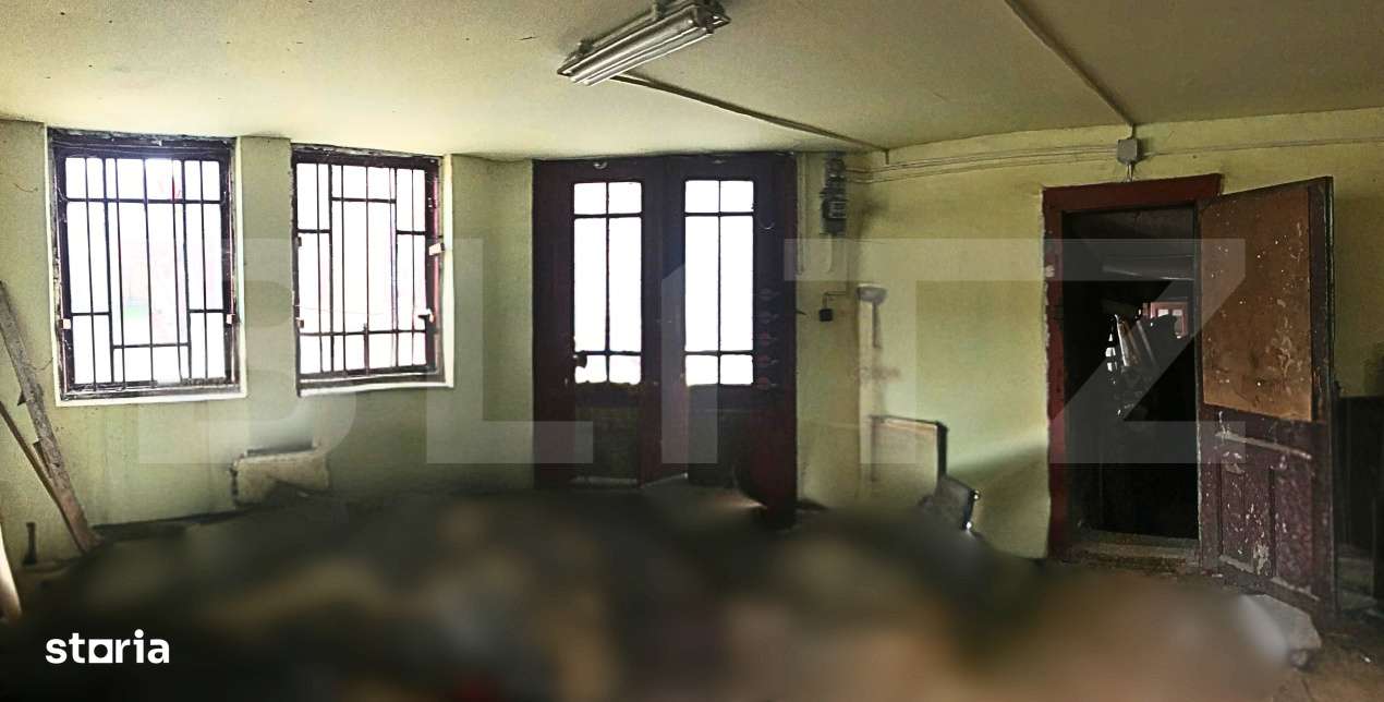 Oportunitate unica langa Primaria Pietrosita - Monument Istoric + Hala - Imagine principală: 4/12