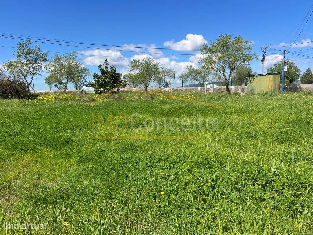 Terreno Urbano para Construção - Torres Novas - Grande imagem: 2/13