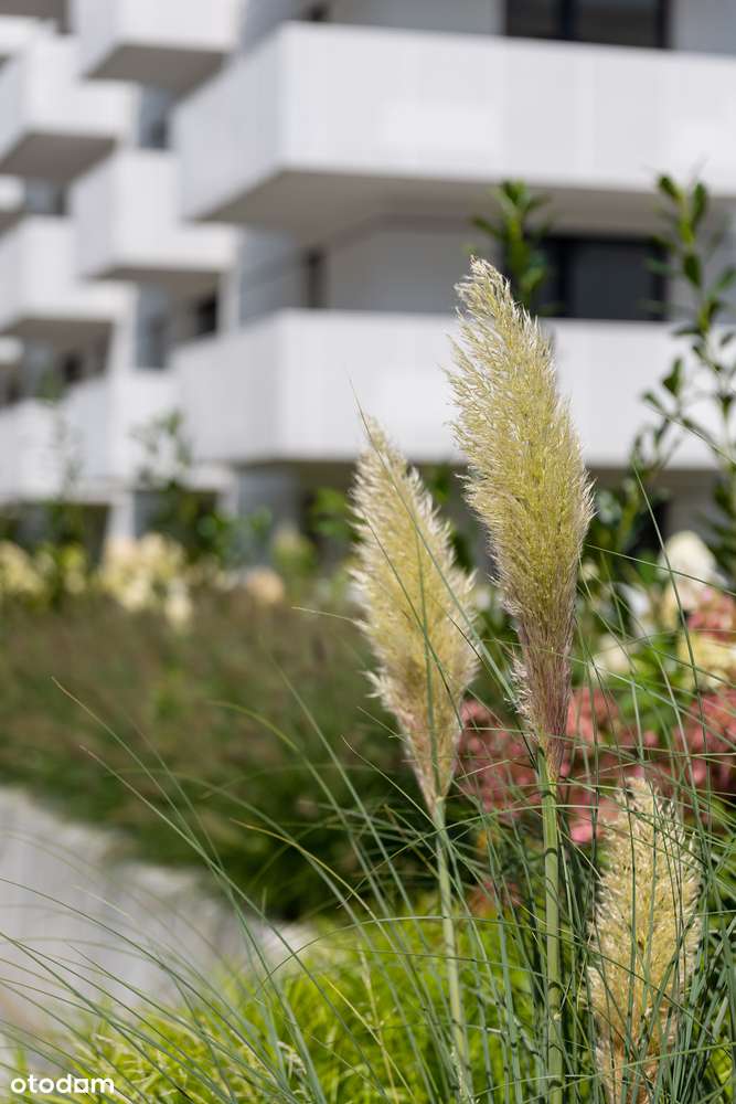 Funkcjonalne mieszkanie 2-pokojowe 57,97 m² | Maratońska 49, Łódź |-12