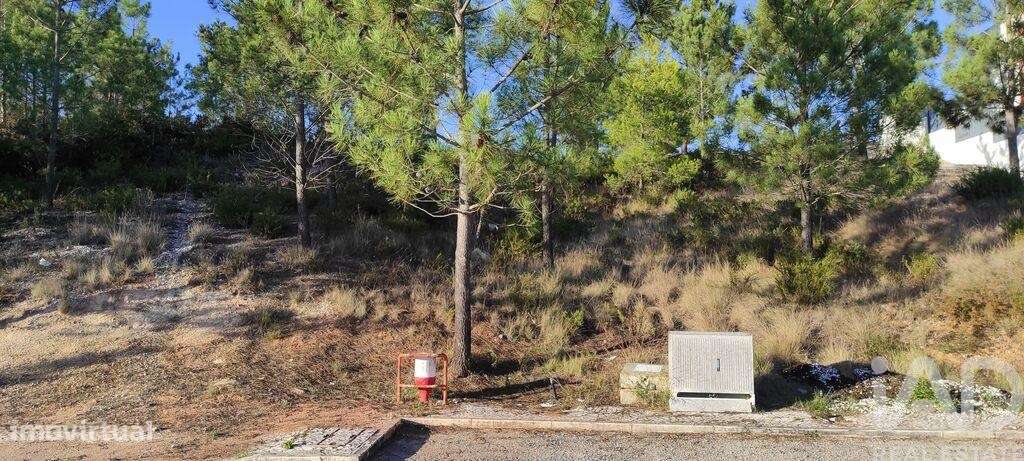 Terreno para construção em Sesimbra (Castelo) - Grande imagem: 4/15