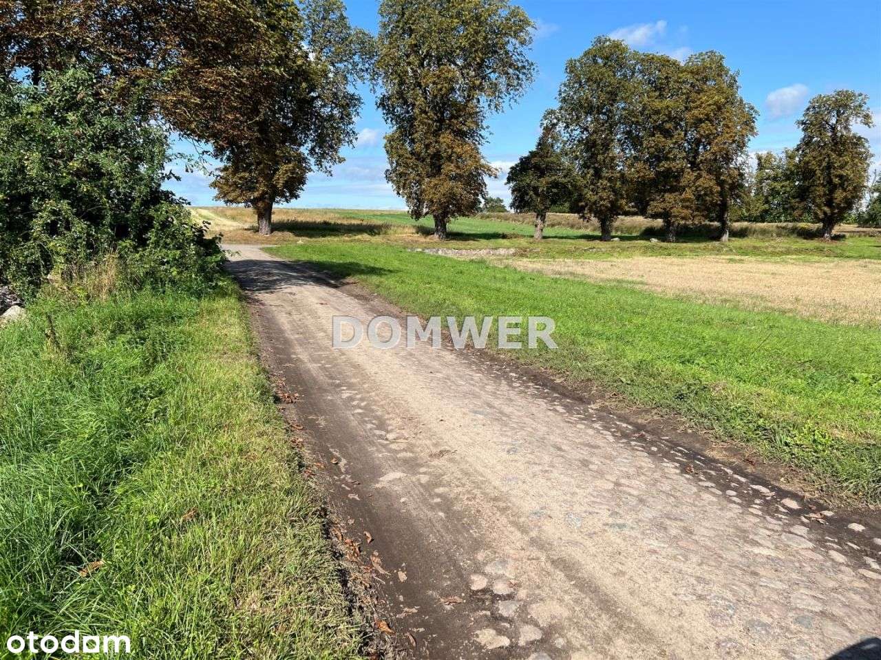 Działka budowlana w Buszowie -Nowa niższa cena - Pełny obrazek: 4/4