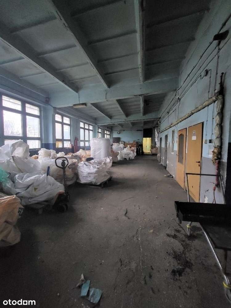 Hala przemysłowa , świetna lokalizacja przy A4 , moc 250 kWh - Pełny obrazek: 5/6