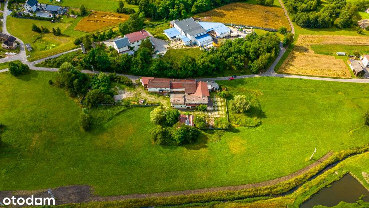 Grunt produkcyjno-usługowy z halami!!! - Pełny obrazek: 5/19