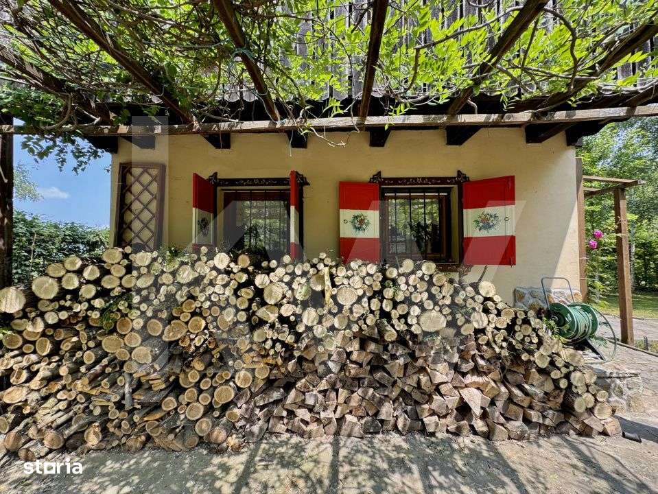 Cabana rustica de vis pe Valea Avrigului – un colt de rai in mijlocu - Imagine principală: 5/19