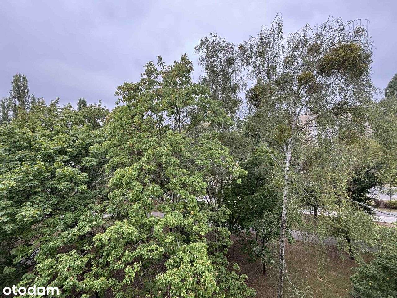 Przestronne 4-pokojowe mieszkanie z balkonem na Starych Bielanach-16