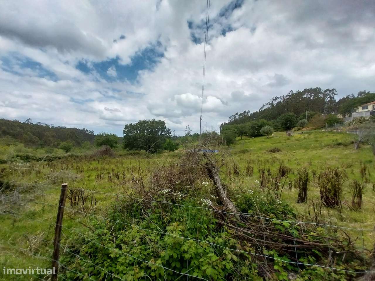 Terreno Agrícola || Pombal - Grande imagem: 4/8