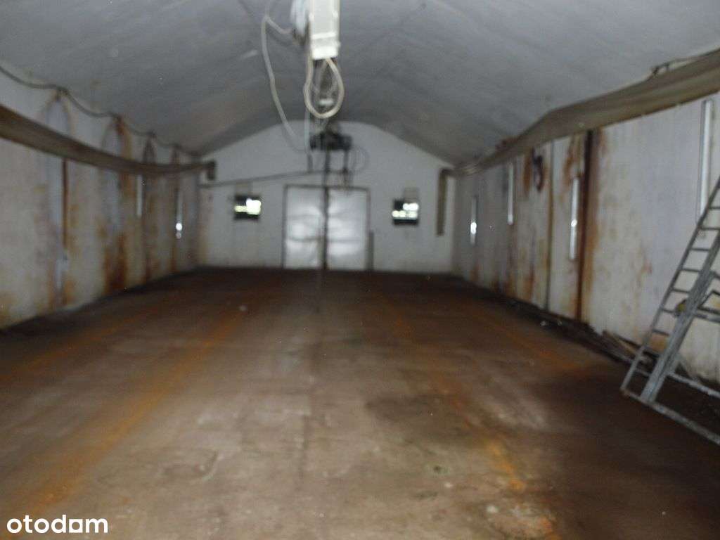 Pieczarkarnia - Kaliłów - Pełny obrazek: 4/10