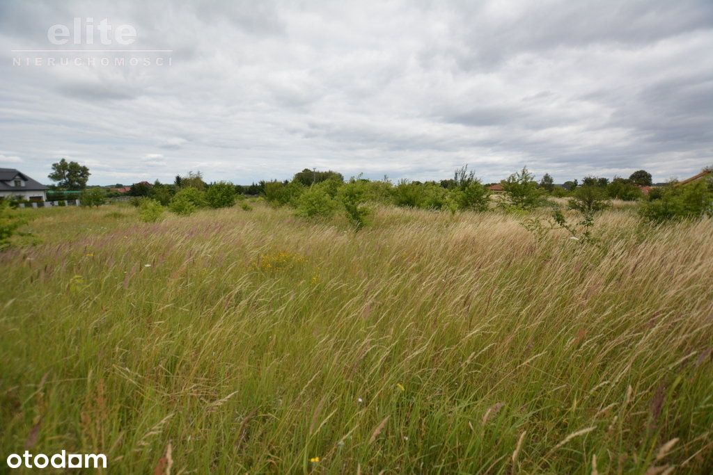 Działki, Wąwelnica po 120zł/m2, 3000m2