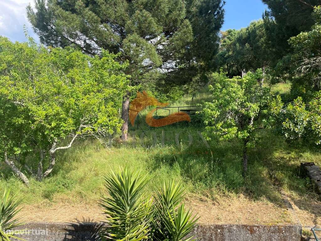 Casa da Montanha - O Refúgio Perfeito em Vila Cova de Alva, Arganil-40