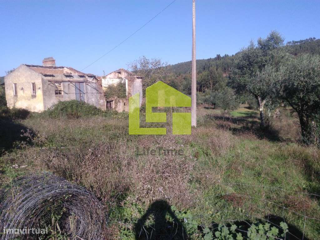 Terreno com casa para recuperar - Grande imagem: 2/17