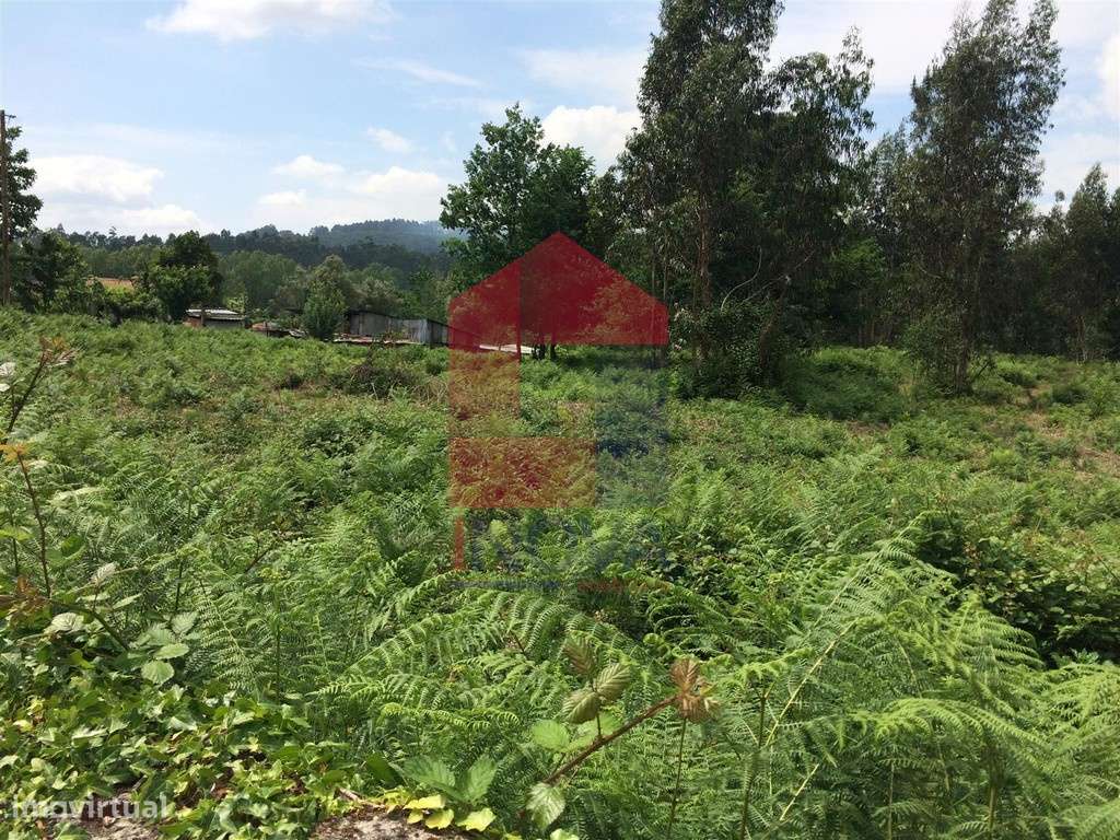 Vende-se Terreno, Vila Verde - Grande imagem: 5/10