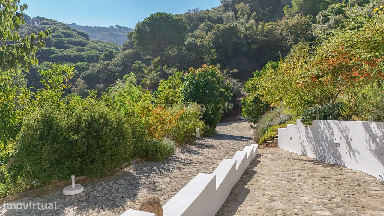 Quinta na Arrábida com moradia T5 de 364 m2 em lote de 13 520 m2 Onde-47