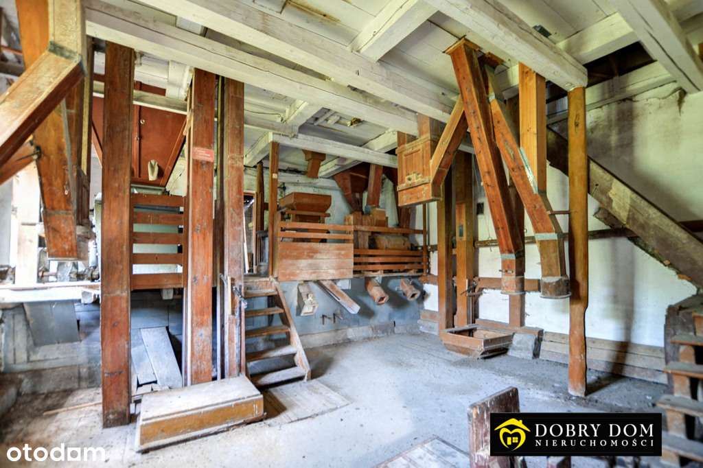 /ODS - Pełny obrazek: 4/8