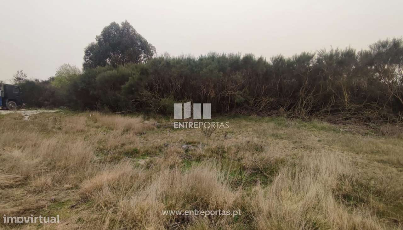 Venda Terreno com área de 10074 m2, Gove, Baião - Grande imagem: 2/29