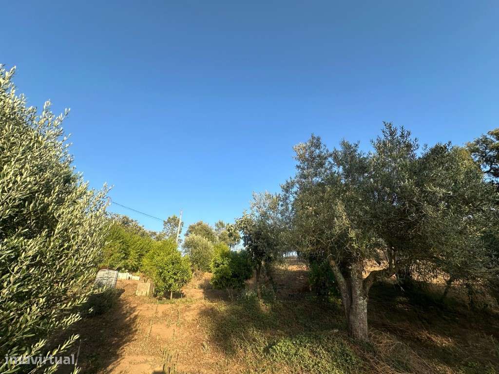 Monte Alentejano com 3,4 ha de natureza e potencial turístico-40