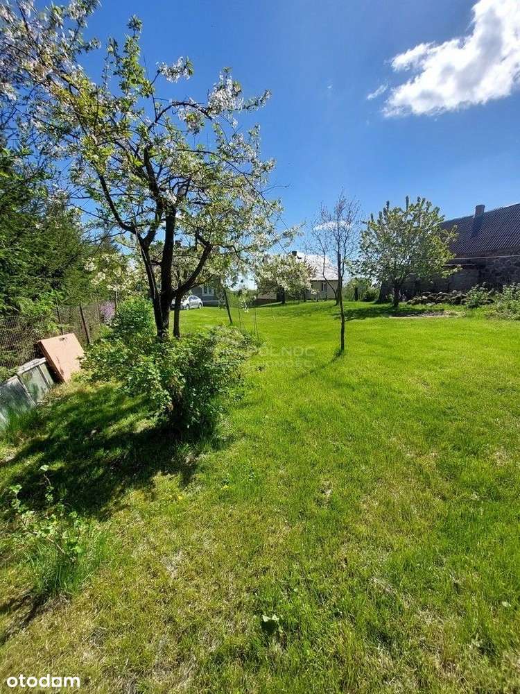 Urokliwe siedlisko z domem nad rzeką Biebrza ! - Pełny obrazek: 4/20