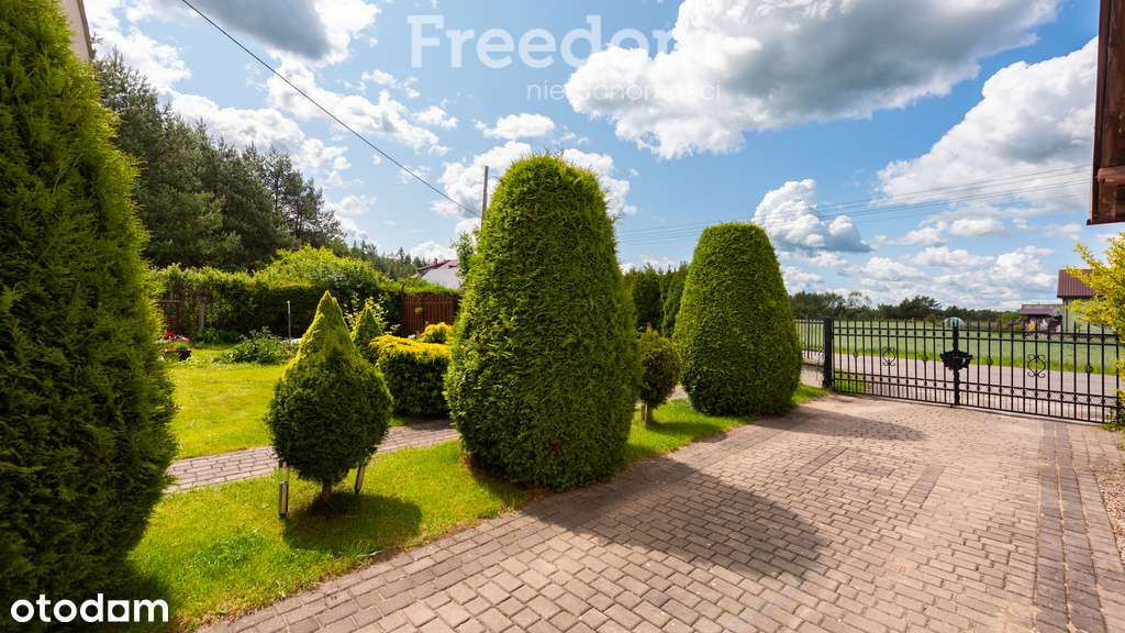 Cząstkowo - Dwa domy w cenie jednego- przy lesie ! - Pełny obrazek: 5/20