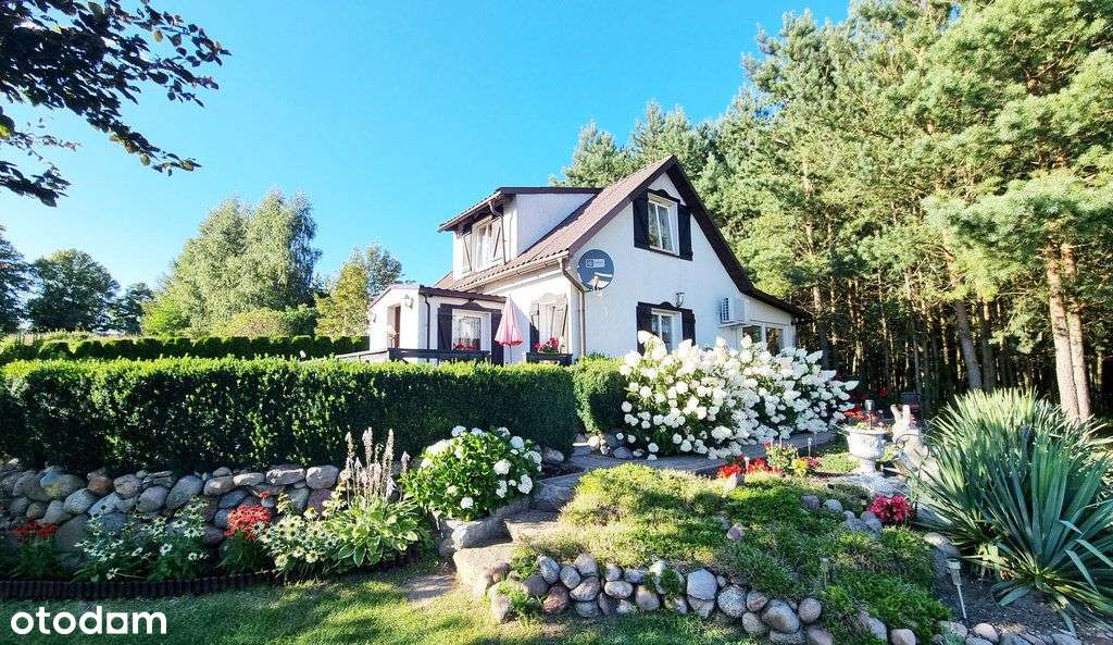 Dom całoroczny z dużą działką - 3 838 m2-1