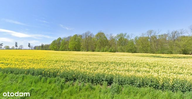 Sprzedam działkę z pozwoleniem na budowę + projekt