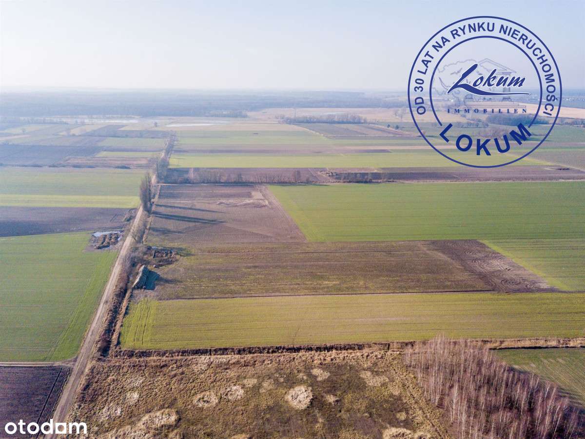 Duża działka w spokojnej okolicy - sprawdź - Pełny obrazek: 4/8