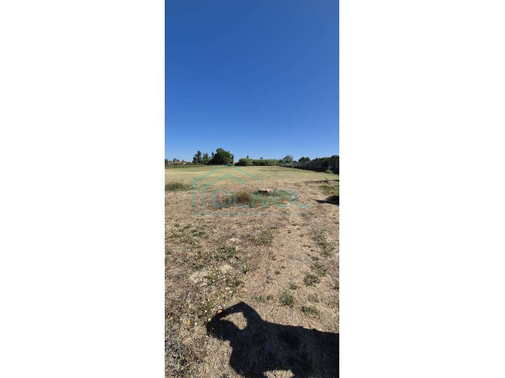 Terreno Para Construção de Moradias - Grande imagem: 5/5