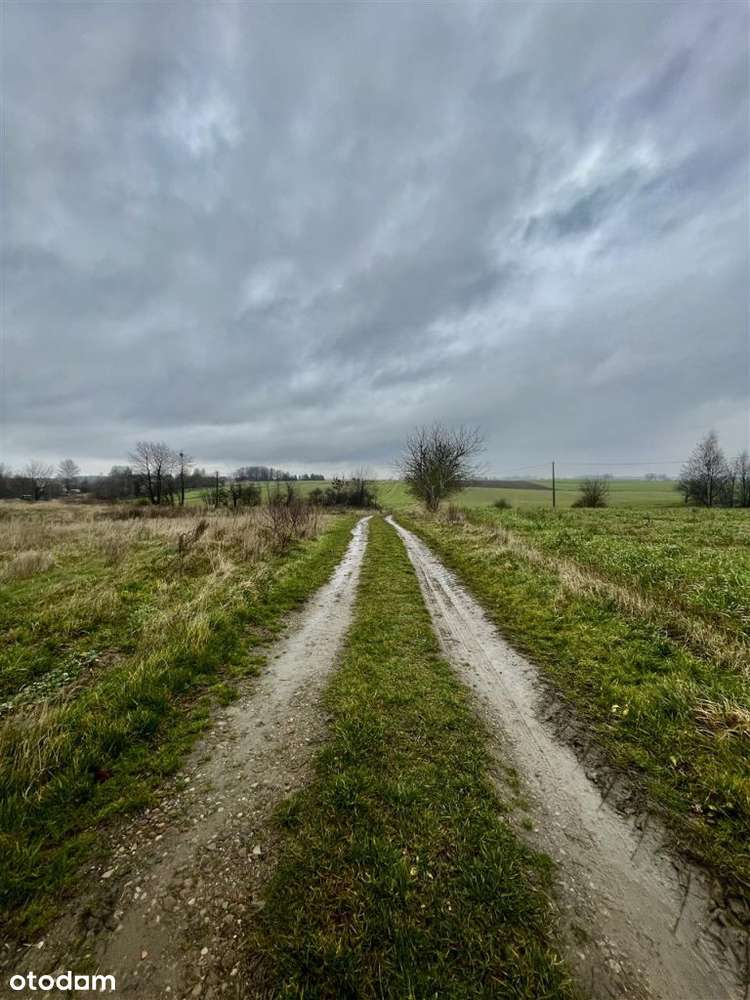 Działka Łekno, gm. Będzino, Warunki zabudowy! - Pełny obrazek: 4/7