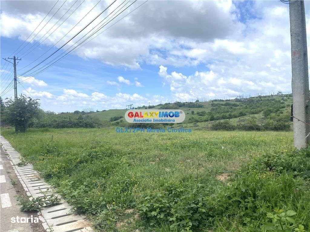 Vanzare teren intravilan Baicoi zona Tintea - Imagine principală: 5/6