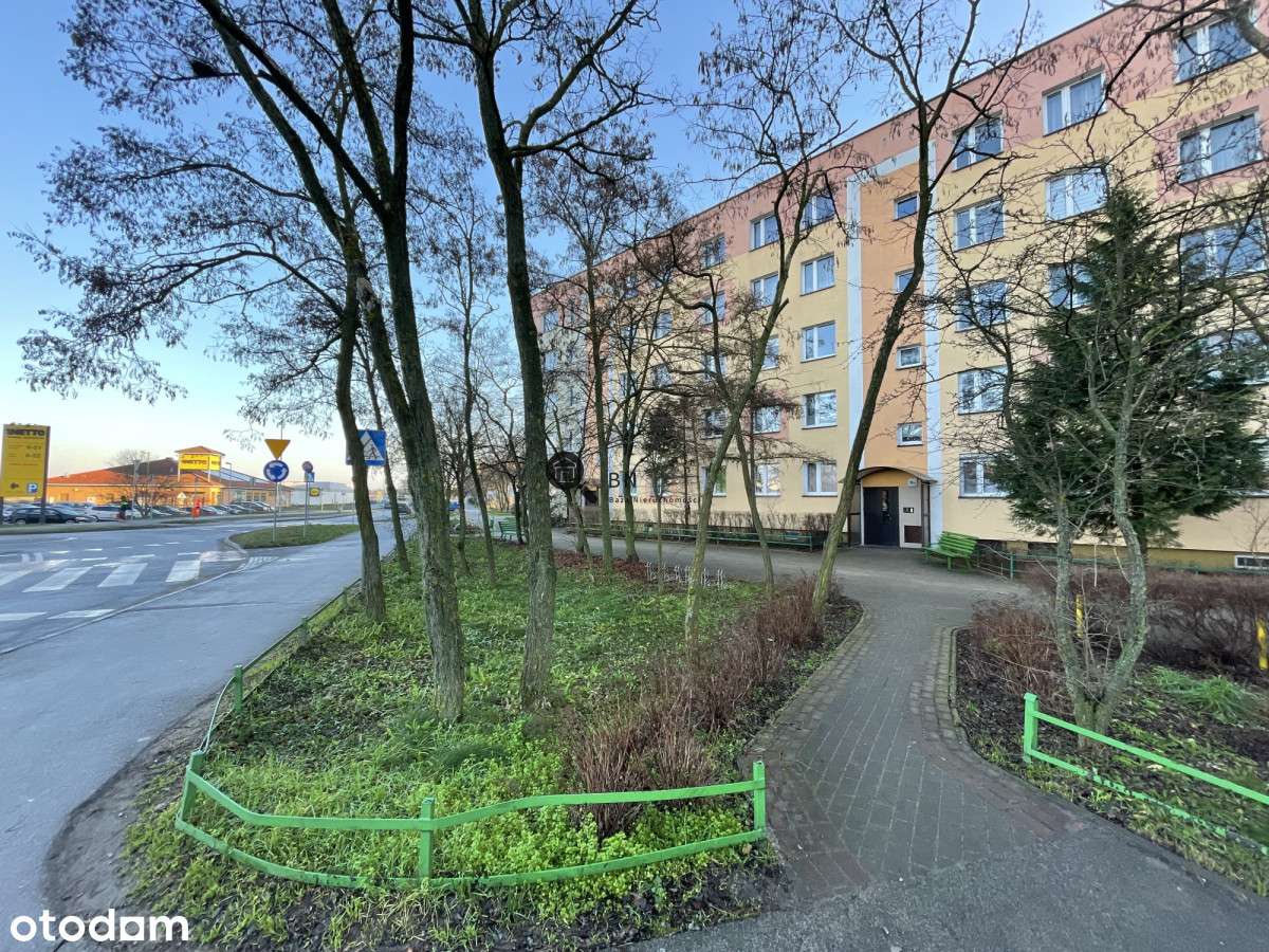 Na inwestycję lub dla małej rodziny, wolne od ręki - Pełny obrazek: 2/14