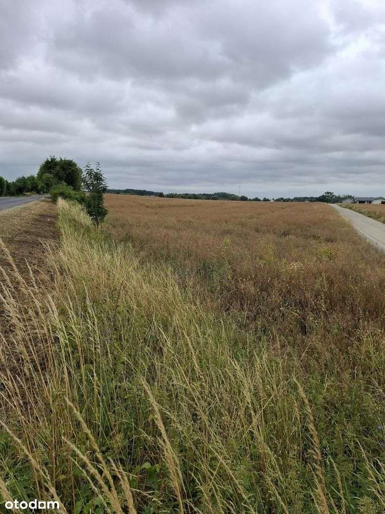 Działka, 1 261 m², Grzebienisko - Pełny obrazek: 4/6