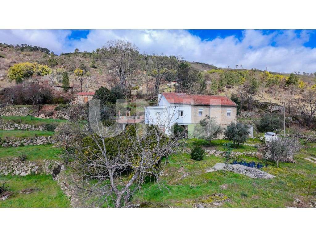 Quinta T2 com Habitação, Infraestruturas Agrícolas e Terreno com Vi...-9