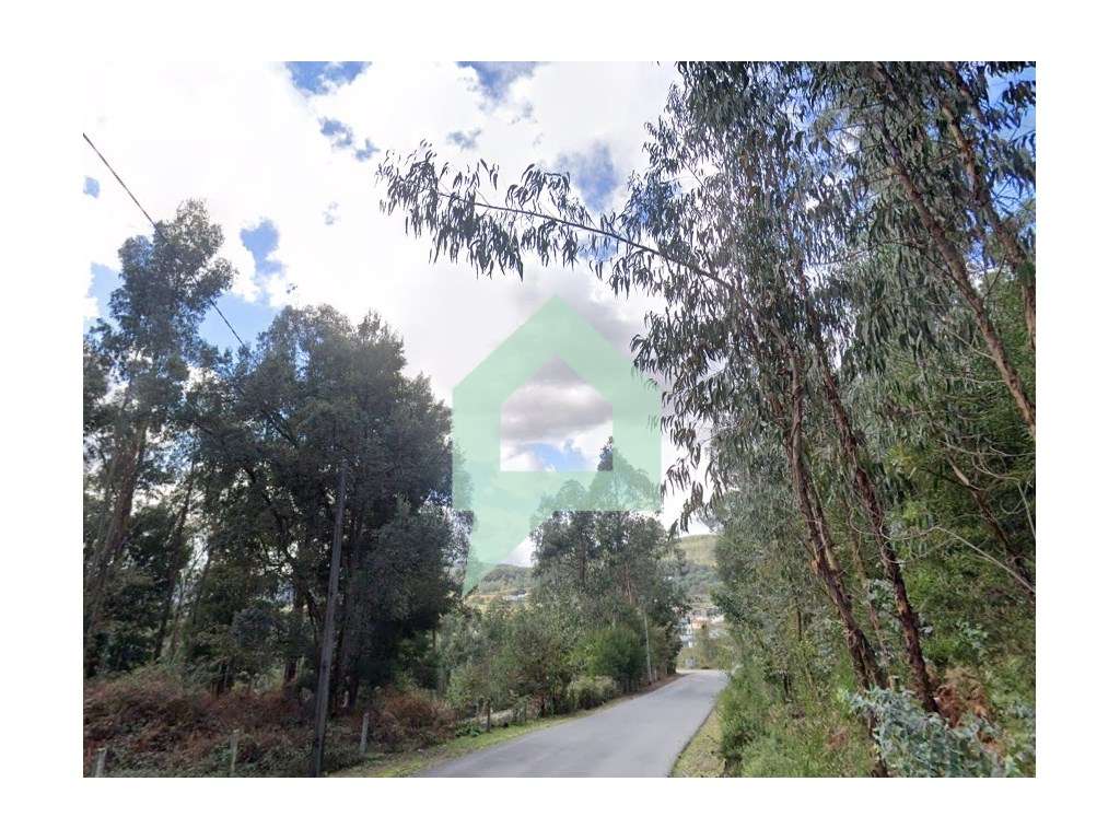 Bouça centro Couto Barcelos - Grande imagem: 4/13