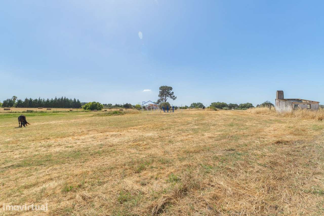 Terreno com 35000 m2 e moradia para reconstruir no Montijo-17