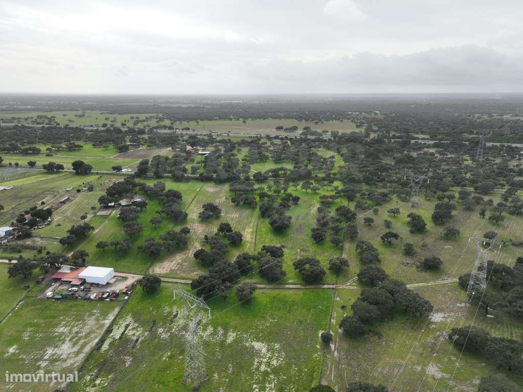 Propriedade Rústica com 11 Hectares junto a Canhestros-32