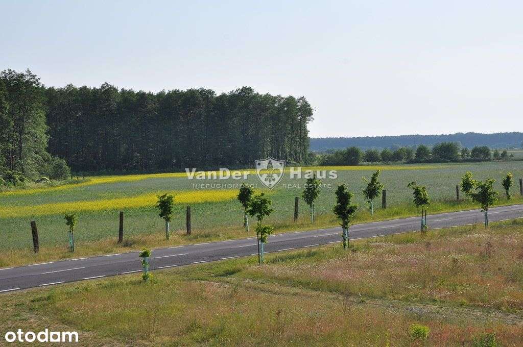 Gołuń - atrakcyjne działki na sprzedaż-6