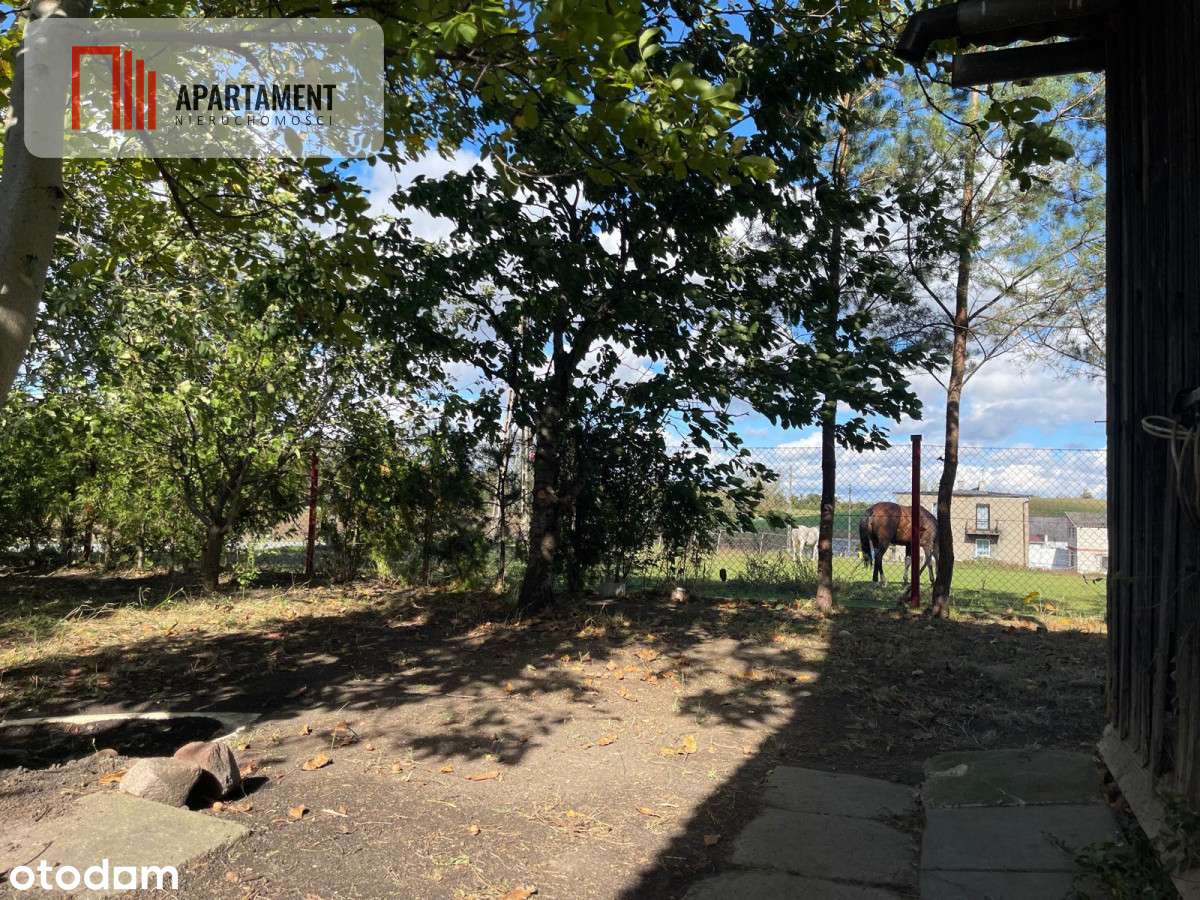 Dom do Remontu lub zamiana - Pełny obrazek: 5/18