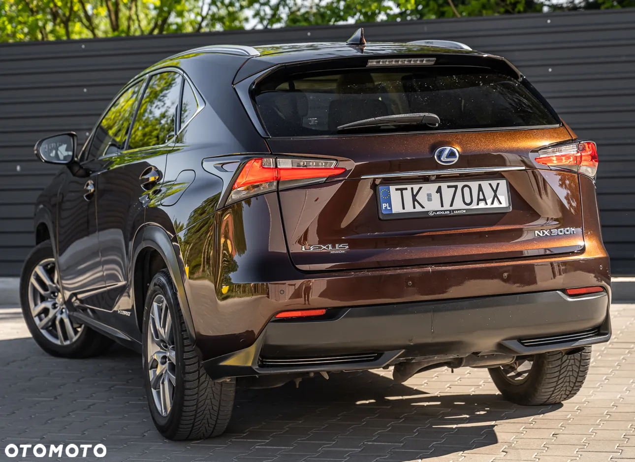 Lexus NX - 8