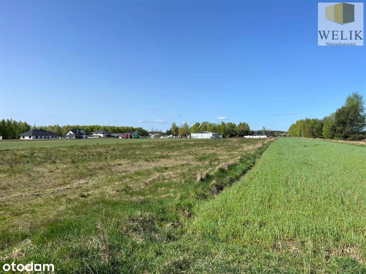 Działka w Czosnówce - Pełny obrazek: 4/7