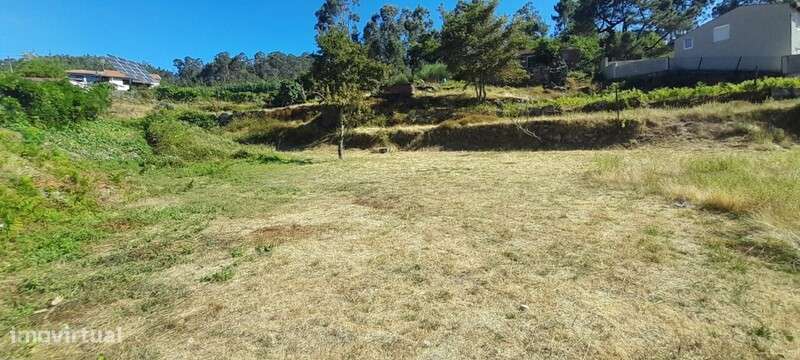 Terreno Rústico para venda em Sever de Vouga - Grande imagem: 4/5