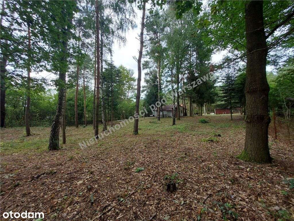 Cisza, Zieleń, Rzeka I Ona - Działka W Łosiu.-14