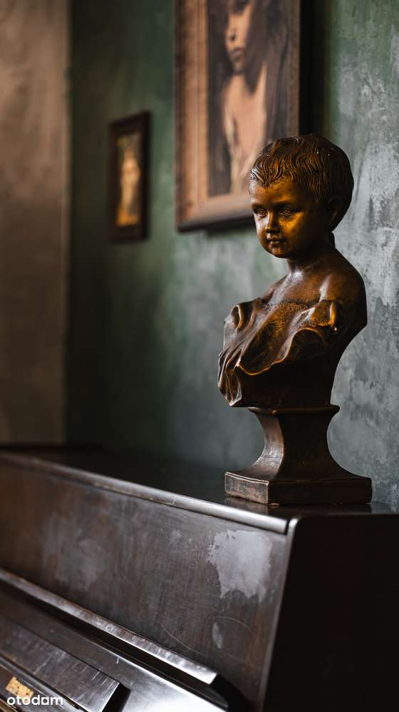 Podlesie (ta część bez smogu) - dom 320 m2 z działką 1400 m2 i basenem-15