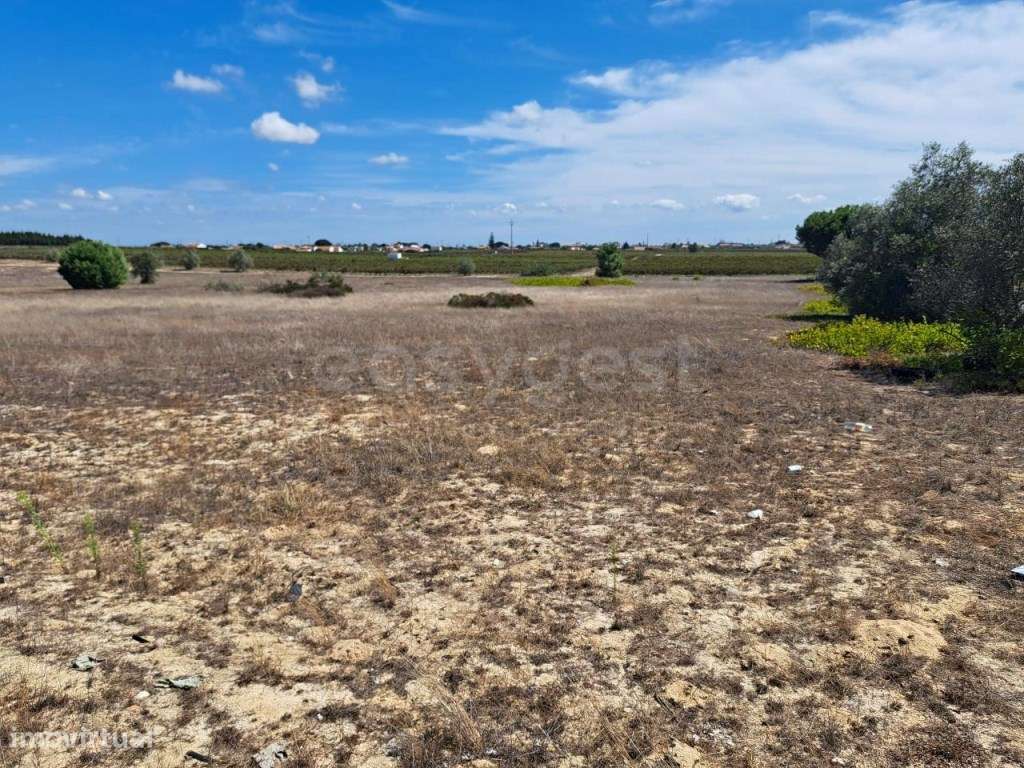 6 lotes de Terreno com 7830mts2 cada, vendidos em conjunto - Grande imagem: 2/5