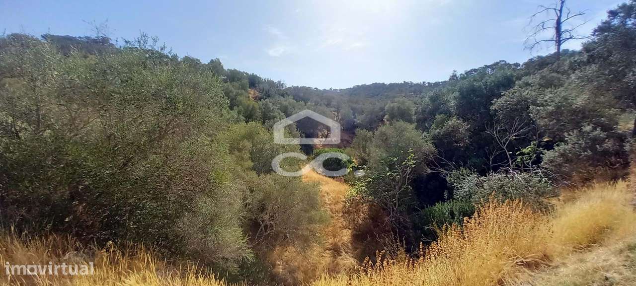 Magnifica Quinta com vista para o Rio Guadiana-23