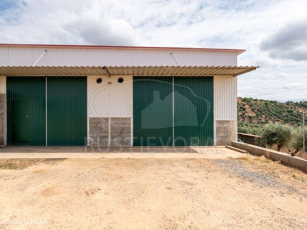 Quinta em Portel - 4,3 Ha de Tradição e Conforto-33