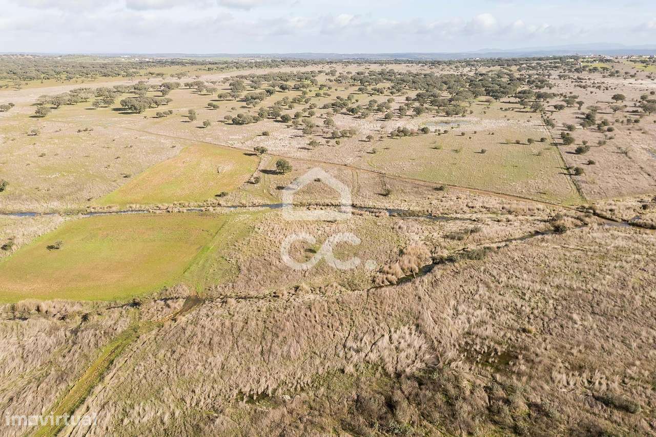 Terreno de 5,4 ha c/ Viabilidade de Construção | Capelins, Alandroal-19