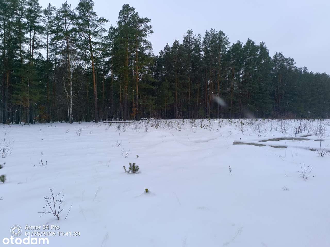 Działka we wsi Piaski z Pozwoleniem na budowę Puszcza Białowieska-4