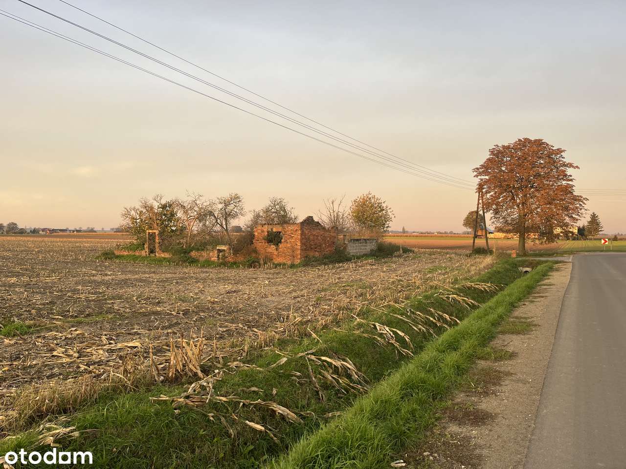 Rezydencjonalna działka 2041 m² – Marianowo, możliwość budowy 2 domów! - Pełny obrazek: 5/8